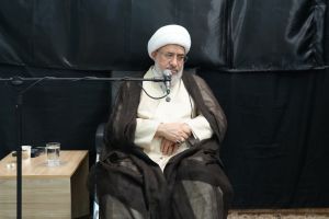 دیدار و گفت‌وگوی جمعی از اعضای جبهه مردمی بصیرت و مطالبه‌گری با آیت‌ الله اراکی