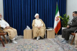 دیدار دبیرکل مجمع جهانی شیعه شناسی با آیت‌ الله اراکی